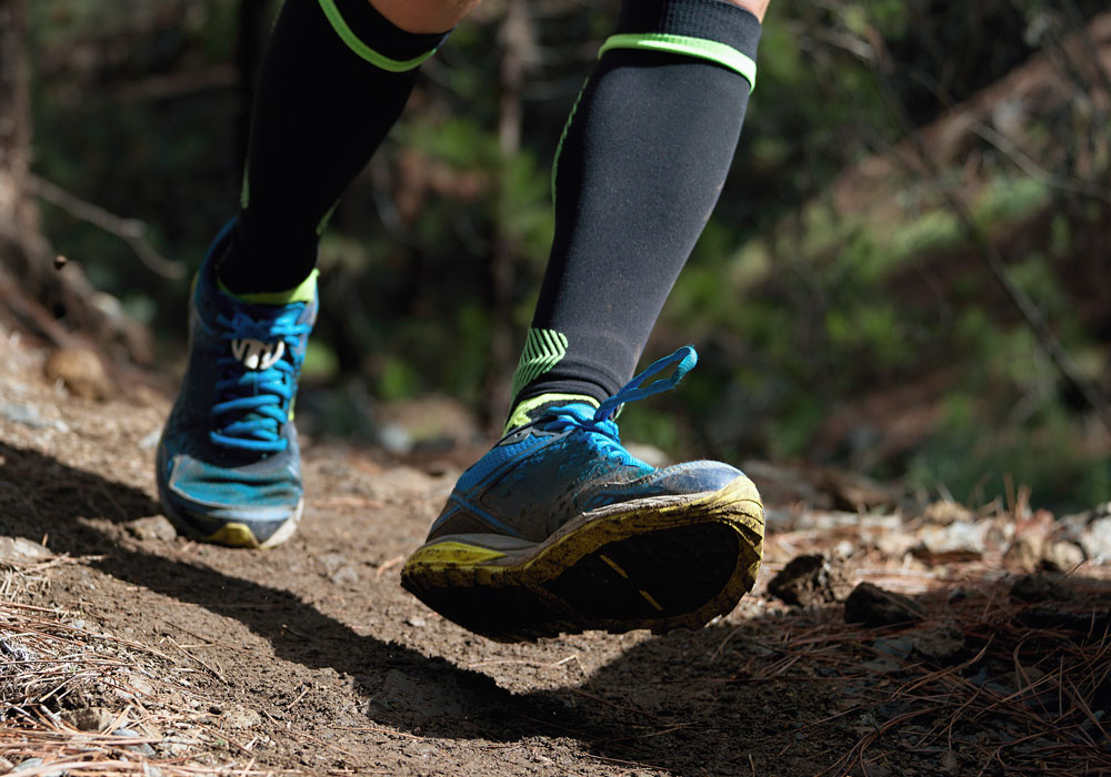 Chaussures running forêt